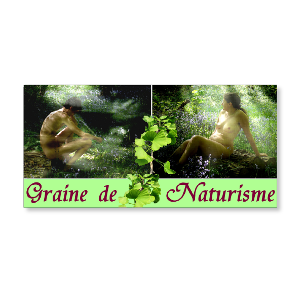 Brume